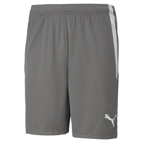 Puma teamLIGA Shorts - grau