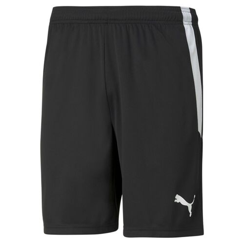 Puma teamLIGA Shorts - schwarz