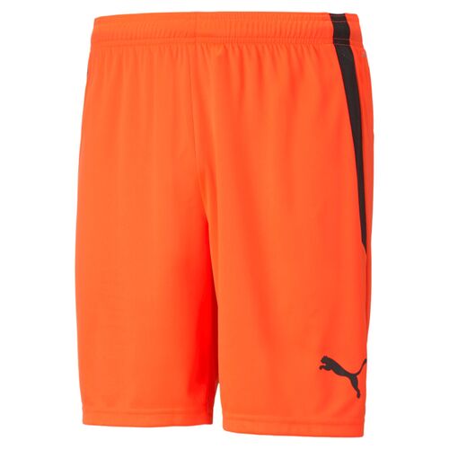 Puma teamLIGA Shorts - rot