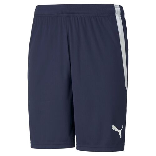 Puma teamLIGA Shorts - blau