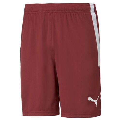 Puma teamLIGA Shorts - rot