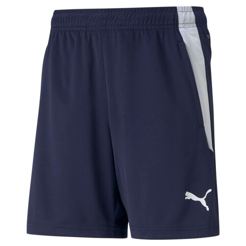 Puma teamLIGA Training Shorts Jr - blau