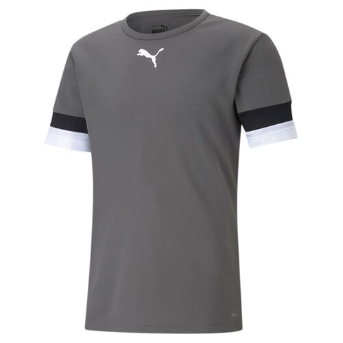Puma teamRISE Jersey - grau