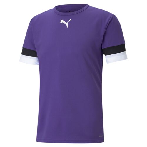 Puma teamRISE Jersey - violett