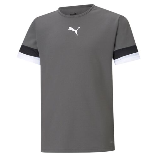 Puma teamRISE Jersey Jr - grau