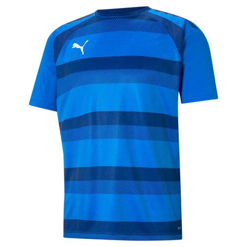 Puma teamVISION Jersey - blau