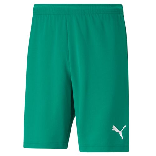 Puma teamRISE Short - gr�n