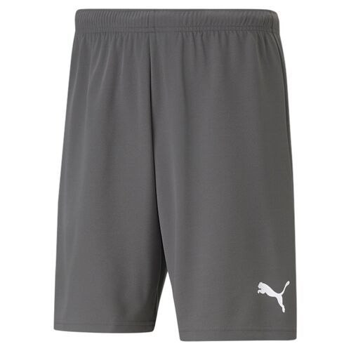 Puma teamRISE Short - grau