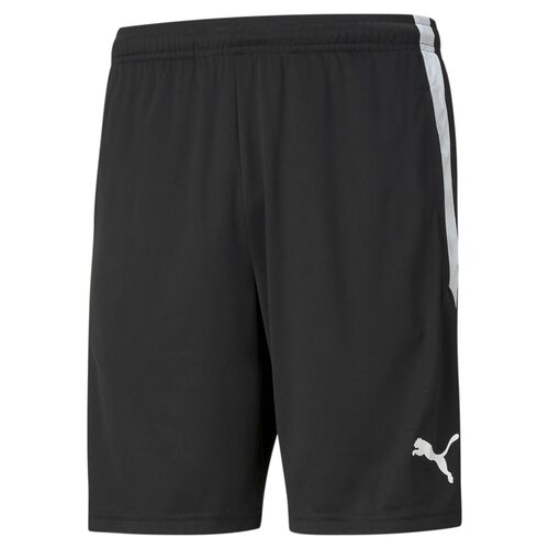 Puma teamLIGA  Training Shorts - schwarz