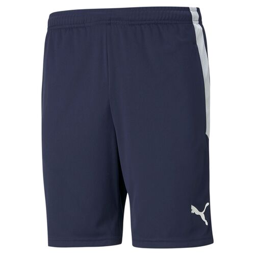 Puma teamLIGA  Training Shorts - blau