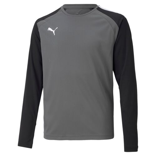Puma teamPACER GK LS Jersey Jr - grau