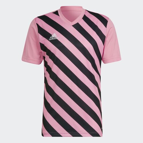 adidas Herren Entrada 22 Graphic Trikot