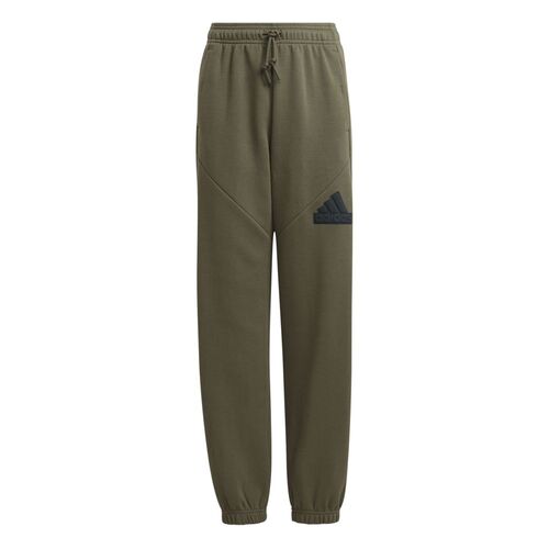 adidas Future Icons Logo Hose