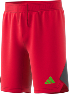 adidas Tiro 23 Pro Torwartshorts