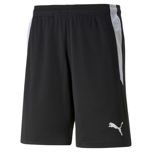 Puma teamLIGA Referee Shorts - schwarz