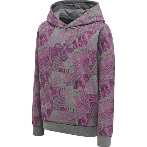 Hummel Hmlspace Jam Cuatro Hoodie - amaranth
