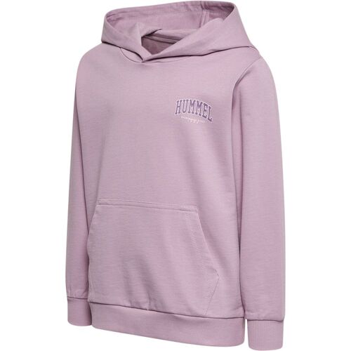 Hummel hmlFAST HOODIE - mauve shadow