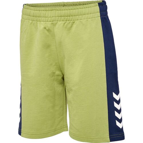 Hummel hmlRUSH BLOCK SHORTS - green olive
