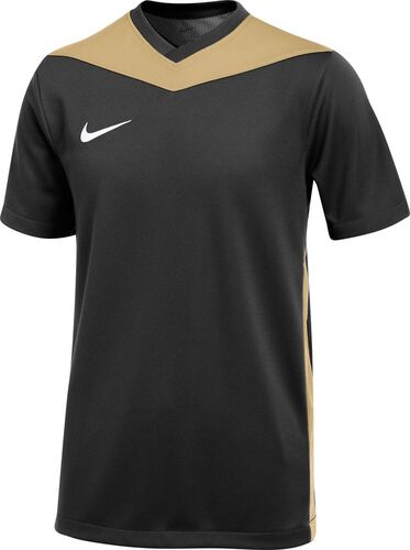 Nike Dri-FIT Park Derby IV Fu�balltrikot f�r Jugendliche (Stock)