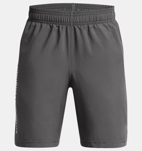 Under Armour Ua Woven Wdmk Shorts - castlerock