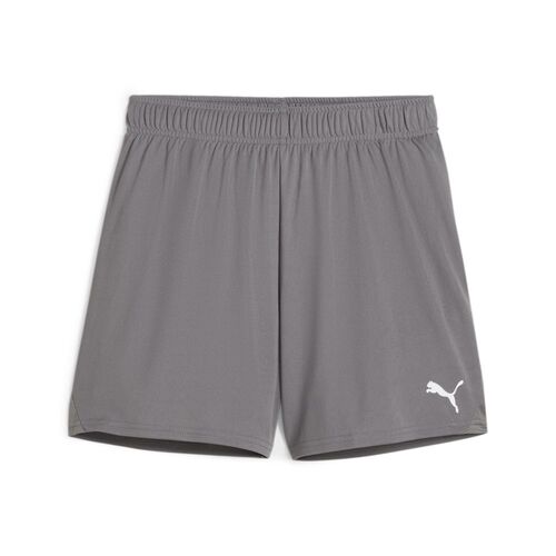 Puma teamGOAL Shorts Wmns - grau