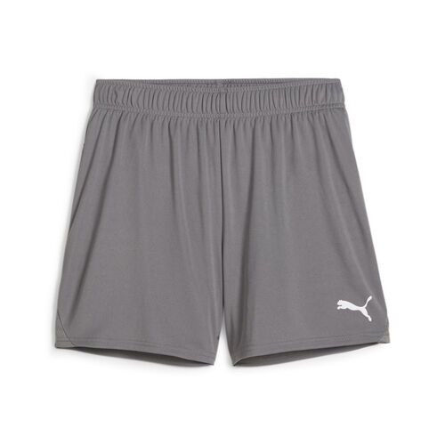 Puma teamGOAL Handball Shorts W - grau