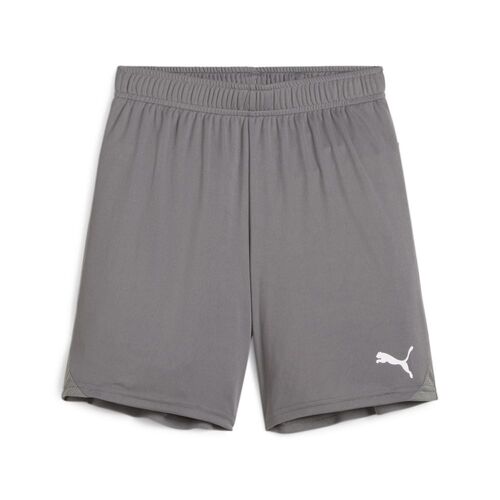 Puma teamGOAL Shorts Jr - grau