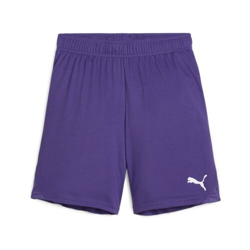 Puma teamGOAL Shorts Jr - violett