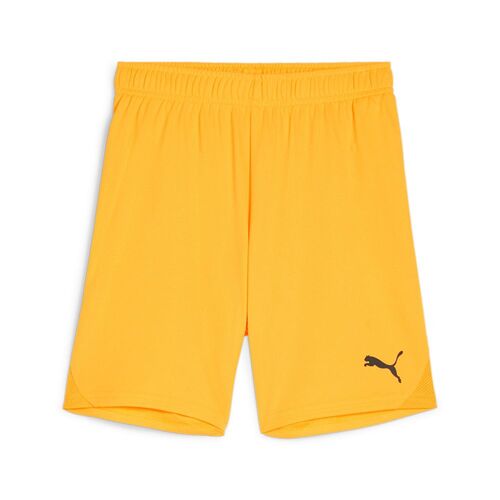 Puma teamGOAL Shorts Jr - orange