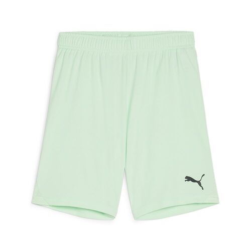 Puma teamGOAL Shorts Jr - gr�n