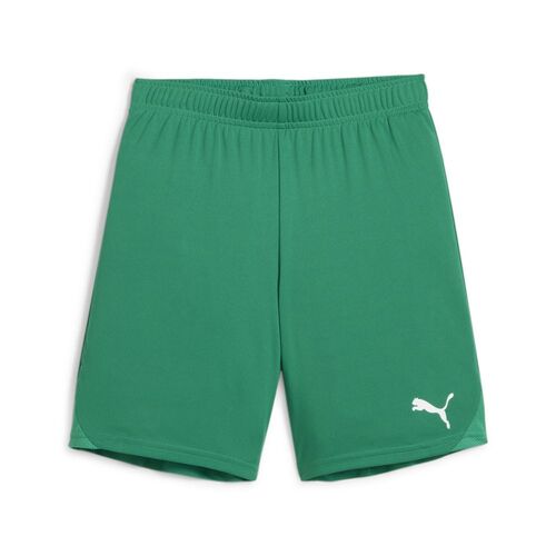 Puma teamGOAL Shorts Jr - gr�n