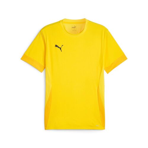 Puma teamGOAL Matchday  Jersey - gelb