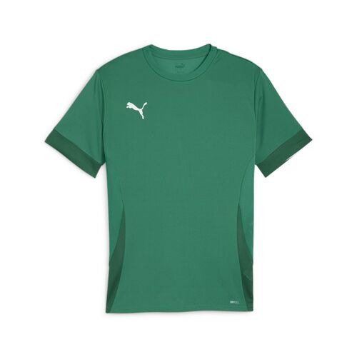 Puma teamGOAL Matchday  Jersey - gr�n