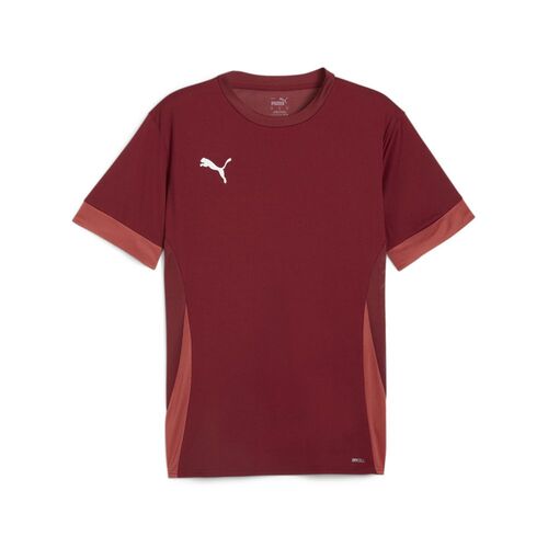 Puma teamGOAL Matchday  Jersey - rot