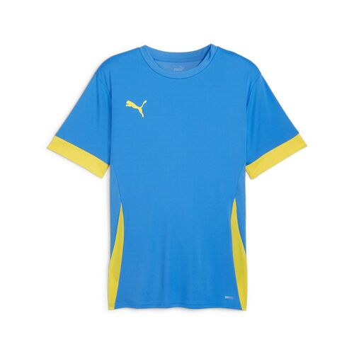 Puma teamGOAL Matchday  Jersey - blau