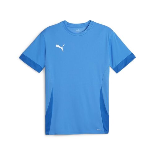 Puma teamGOAL Matchday  Jersey - blau