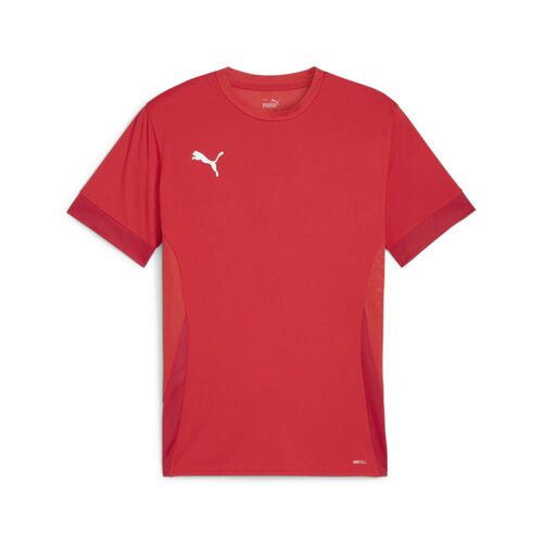 Puma teamGOAL Matchday  Jersey - rot