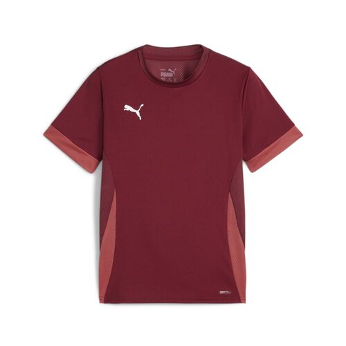 Puma teamGOAL Matchday Jersey jr - rot
