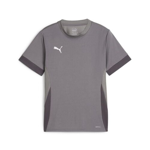 Puma teamGOAL Matchday Jersey jr - grau