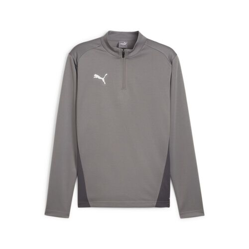 Puma teamGOAL Training 1/4 Zip Top - grau