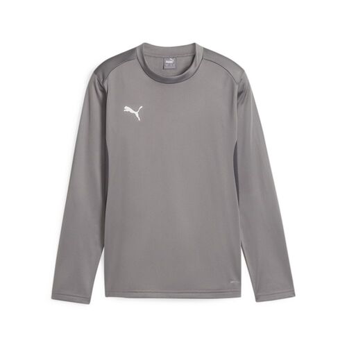 Puma teamGOAL Training Sweat Jr - grau