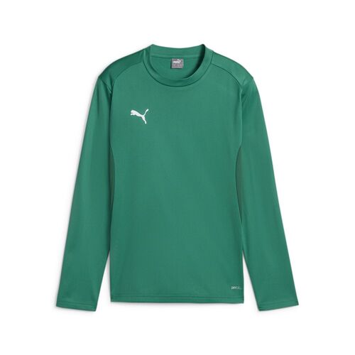 Puma teamGOAL Training Sweat Jr - gr�n