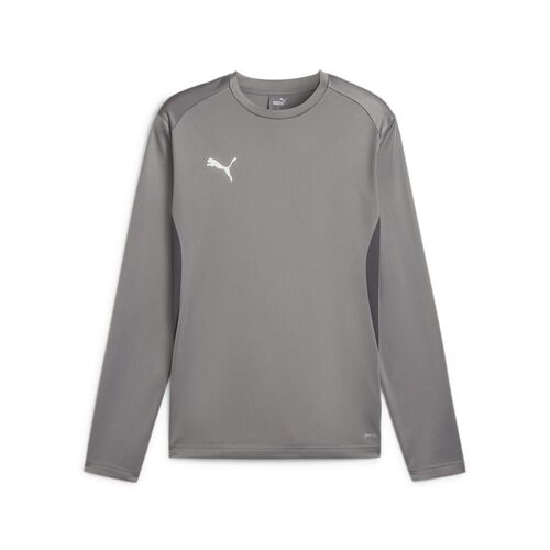 Puma teamGOAL Training Sweat - grau
