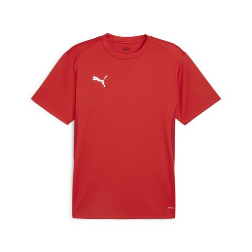 Puma teamGOAL  Jersey - rot