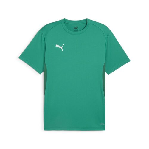 Puma teamGOAL  Jersey - gr�n