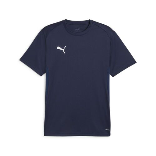 Puma teamGOAL  Jersey - blau