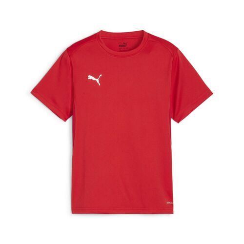 Puma teamGOAL Jersey Jr - rot