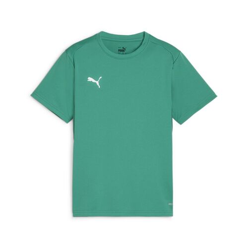 Puma teamGOAL Jersey Jr - gr�n