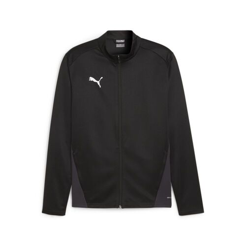 Puma teamGOAL Training Jacket - schwarz