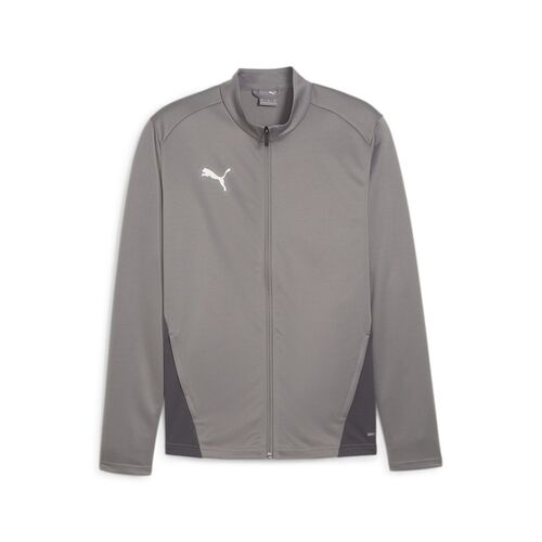 Puma teamGOAL Training Jacket - grau